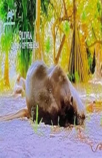 Watch Otter Dynasty (WT) online