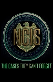 Watch The Cases They Can't Forget online