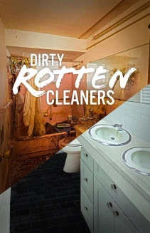 Watch Dirty Rotten Cleaners online
