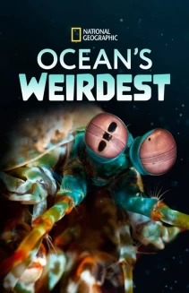 Watch Ocean's Weirdest online