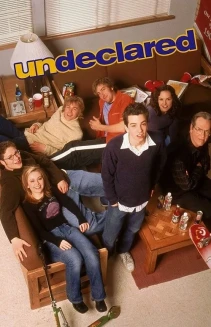 Watch Undeclared online