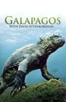 Watch Galapagos 3D with David Attenborough online