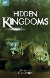Watch Hidden Kingdoms online