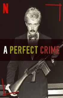 Watch A Perfect Crime online