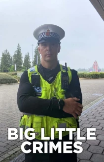 Watch Big Little Crimes online