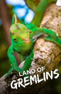 Watch Land of Gremlins online