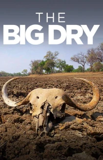 Watch The Big Dry online