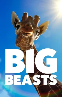 Watch Big Beasts online