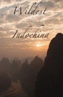 Watch Wildest Indochina online