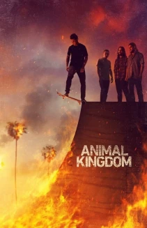 Watch Animal Kingdom online
