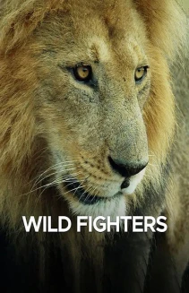 Watch Wild Fighters online
