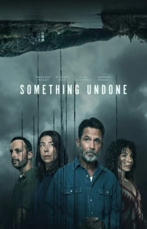 Watch Something Undone online