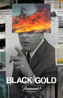 Watch Black Gold online