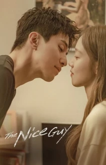 Watch The Nice Guy online