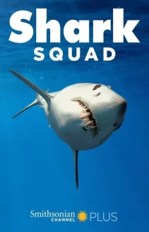 Watch Shark Squad online