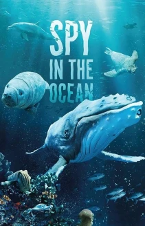 Watch Spy in the Ocean, A Nature Miniseries online