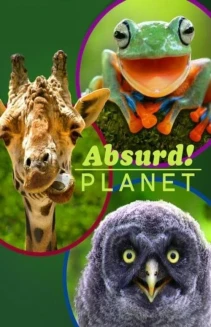Watch Absurd Planet online