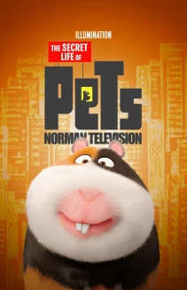 Norman Television