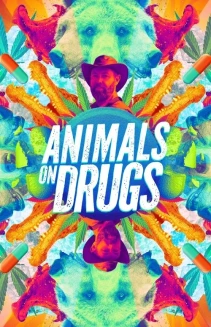 Watch Animals on Drugs online