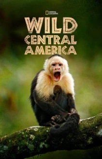 Watch Wild Central America online