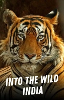 Watch Into the Wild: India online