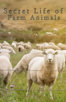 Watch Secret Life of Farm Animals online