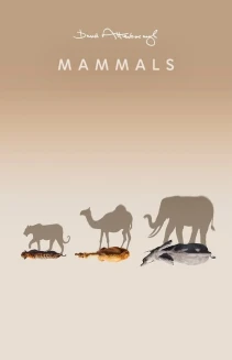 Watch Mammals online