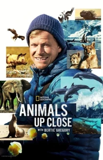 Watch Animals Up Close with Bertie Gregory online