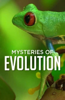 Watch Mysteries of Evolution online