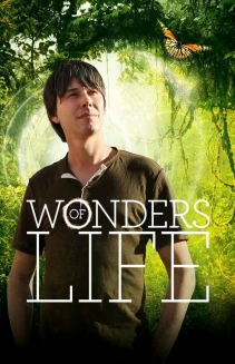 Watch Wonders of Life online