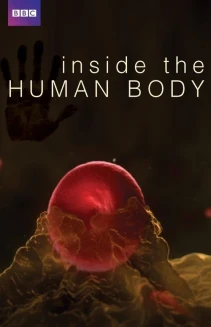 Watch Inside the Human Body online