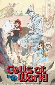 Watch Cells at Work! online
