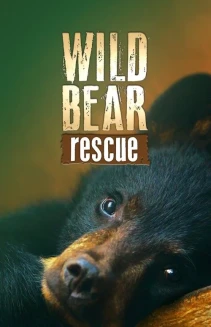 Watch Wild Bear Rescue online