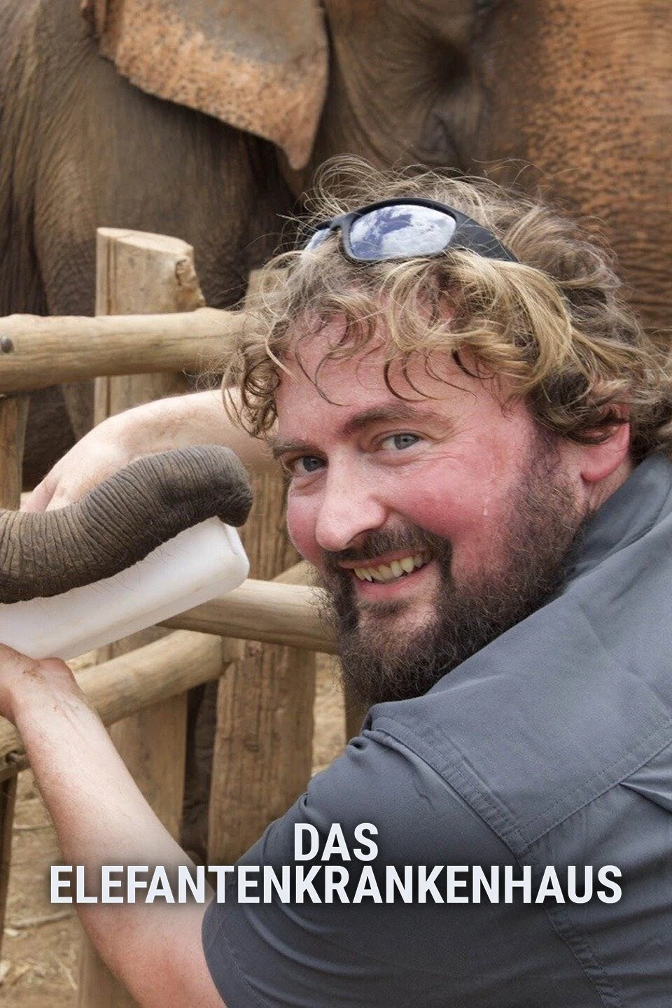 Watch Elephant Hospital online