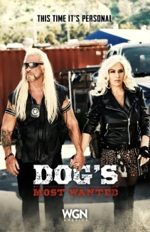 Watch Dog's Most Wanted online