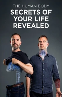 Watch The Human Body: Secrets of Your Life Revealed online
