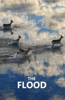 Watch The Flood online