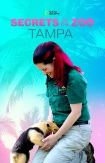 Watch Secrets of the Zoo: Tampa online