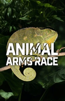 Watch Animal Arms Race online