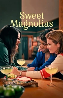 Watch Sweet Magnolias online