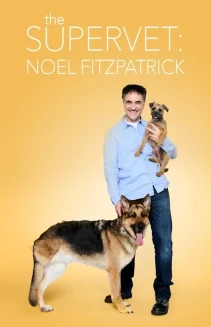 Watch The Supervet: Noel Fitzpatrick online