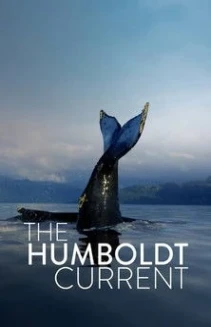 Watch The Humboldt Current online