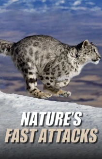 Watch Nature's Fast Attacks online
