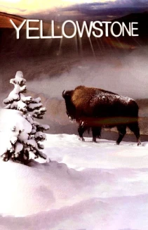 Watch Yellowstone online