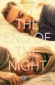 Watch At The End Of The Night online