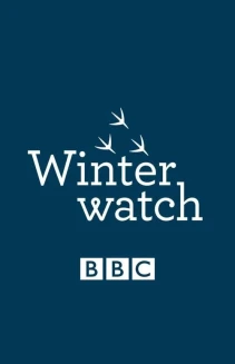 Watch Winterwatch online