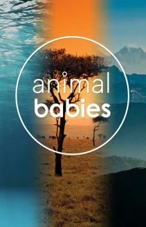 Watch Animal Babies online