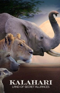 Watch Kalahari: Land of Secret Alliances online