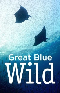 Watch Great Blue Wild online