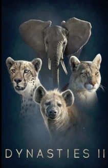 Watch Dynasties II online